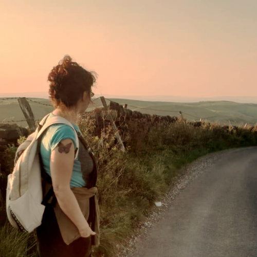 elf banner 1 elf banner 1